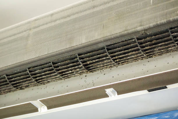 Best HVAC Air Duct Cleaning  in Dobbs Ferry, NY